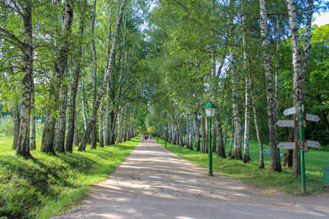 Tolstoy’s Yasnaya Polyana